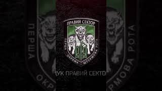 Правий сектор,командир Да Вінчі🇺🇦#україна🇺🇦 #army #зсу #war #military #fyp #козаки #glorytoukra