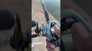 Shimano Curado DC Arizona Canal Fishing For HUGE Bass #fishing #bassfishing #curadodc #shimano