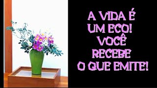 A VIDA É UM ECO! VOCÊ RECEBE O QUE EMITE! A BONDADE EXISTE! O AMOR VENCE!