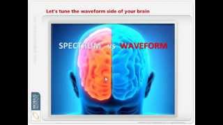 Vibration Analysis - Time Waveform Analysis by Mobius Institute