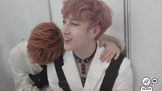 ChanXFelix [ChanLix/Aussie Line] Moments #6