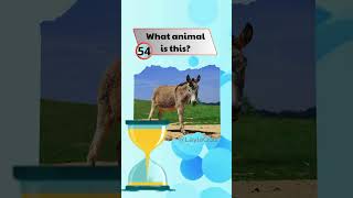 Part 8 :  How Well Do You Know Animals? Guess the Name!#animalquiz #shorts #gameshorts #quiz