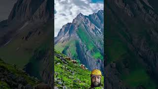 beautiful Kashmir 🇮🇳🇮🇳🇮🇳🇮🇳💯🕉️🕉️❤️❤️🥰🥰#love #shortsvideo