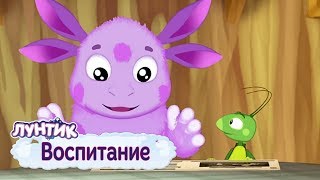 Воспитание ⚡ Лунтик ⚡ Сборник мультфильмов 2019