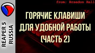 Горячие клавиши для удобной работы (Часть 2) - Кастомизация REAPER