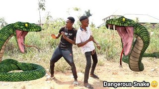 Dangerous Snake 😱 (Full HD) | Mark Angel Comedy | Mr Macaroni | FunnyBros comedy | Yawa Skits