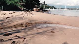 Walking tracks: Hermitage Foreshore Walk (Sydney)