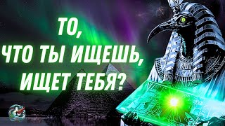 Квантовый закон бытия: как только вы поймете это, реальность изменится.