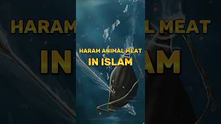 Haram Animal Meat in Islam #shorts #islam