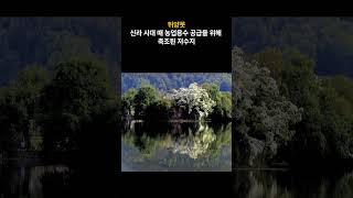 밀양 관광명소 8