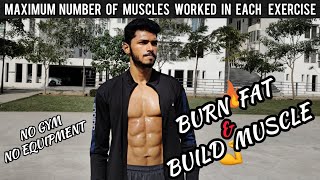 Full Body Home Workout To Lose Fat And Build Muscle