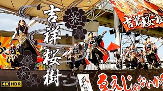 大阪イベント 和歌山よさこい「吉祥桜樹」泉州YOSAKOIゑぇじゃないか祭り 戦国時代をテーマ【4K】