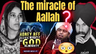 HONEY BEE IS A REAL MIRACLE OF GOD By Engineer Muhammad Ali Mirza | Indian Reaction On Ali Mirza |