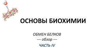 ОБМЕН БЕЛКОВ - часть 4 - Просто о сложном - Химия