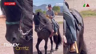 Con los caballos bailadores su compa Randy Ortiz