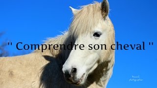 " Comprendre son cheval "