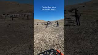 #ranchlife #ranchingfamily #feedingamerica #ranch