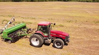 CaseIH MX200 - Bean Planting 2021