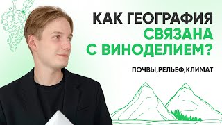 КАК ГЕОГРАФИЯ СВЯЗАНА С ВИНОДЕЛИЕМ? | ГЕОГРАФИЯ | 99 БАЛЛОВ