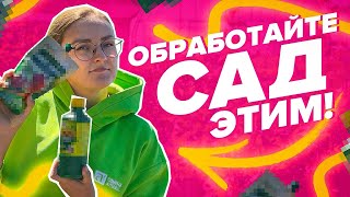 ЧЕМ ОБРАБОТАТЬ САД ОСЕНЬЮ?