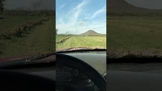 Fertilizando el cultivo de alfalfa #agriculture #alfalfa #forrajes #caballosbailadores