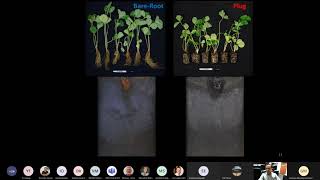 Strawberry Transplant Root Morphology (Rhizotron Study) | 2020 FSHS Presentation