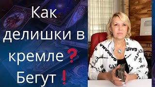 😵 Как делишки в кремле❗❓     👀🏃🏃‍♀️ Бегут❗     Елена Бюн