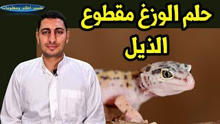 ماهو تفسير حلم رؤية الوزغ مقطوع الذيل واكل الوزغ وملاحقة الوزغ ودلالات اخرى ؟؟