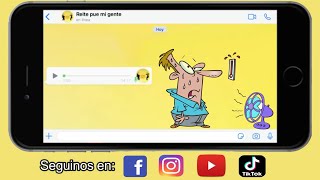 Audio de WhatsApp #59 | Sudando la gota gorda y marrón jaja