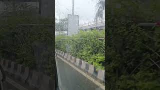 rain in Chennai ☔☔#chennai #rain