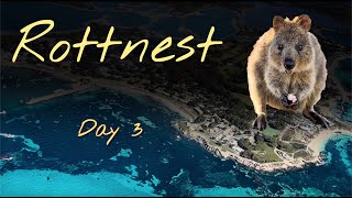 Exploring Rottnest by air! Scenic flight and more quokka selfies - Rottnest, Western Australia 2022