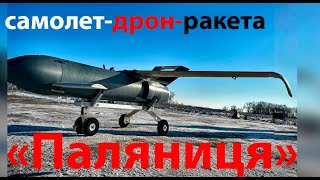 Ракета-дрон «Паляниця» и где отличие самолет-дрон-ракета