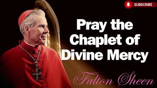 Pray the Chaplet of Divine Mercy    Bishop Fulton J  Sheen