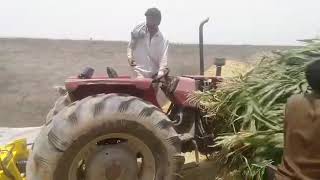 Silage making with Cattlekit Chopper...