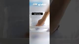 كشاف ليد cob