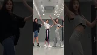 YOONA 'Ddu-Du Ddu-Du' dance challenge ver.1