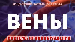 ВЕНЫ (СОСУДЫ) КВАНТОВОЕ ИСЦЕЛЕНИЕ ВЕН ЗВУКОМ🎧ЛЕЧЕБНЫЕ ЧАСТОТЫ Д-РА ШМИДТА, Гц