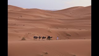 Viagem ao Marrocos - Passeio pelo Deserto do Saara.