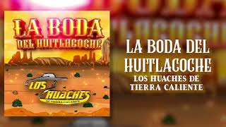 LA BODA DEL HUITLACOCHE - LOS HUACHES DE TIERRA CALIENTE