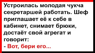 Как молодая чукчанка секретаршей работала... Анекдоты! Юмор! Позитив!