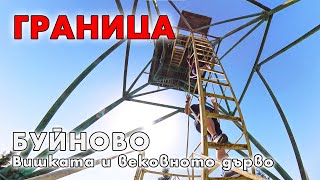 Вишката (Картала) и вековното дърво над Буйново / Border tower Kartala and the ancient tree, Buinovo