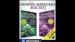 Part 8-9 How To Grow Marijuana