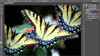 Clone Stamp and Healing Brush tools in Photoshop CS6