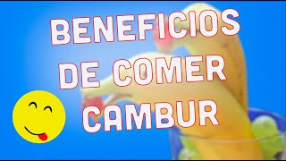 Descubre los 10 BENEFICIOS DE COMER CAMBUR 🍌 | Hoy Sabrás que