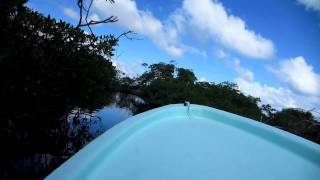 Riding a motorboat through the mangroves near Monkey River