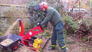 Conifer removal