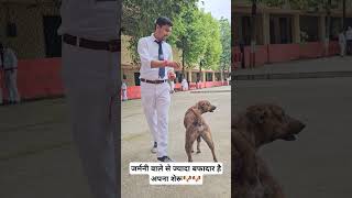 सुगर फ्री बिस्किट  खाता हुआ शेरू 🐶🐶