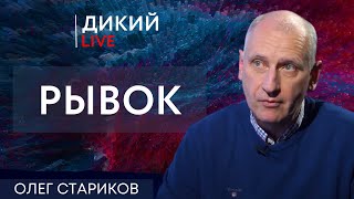 Большие риски... Олег Стариков. Дикий LIVE.