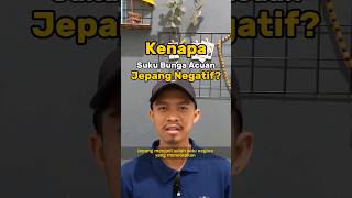 Kenapa suku bunga Jepang negatif? #shorts #jepang #data #sukubunga