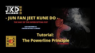 JKD Powerline principle (in swedish) #TWJKD #JeetKuneDo #powerlineprinciple #JKDALLIANCE